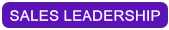 Sales Leadership Development